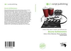 Обложка Bruno Schleinstein