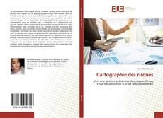 Couverture de Cartographie des risques