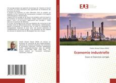 Economie industrielle kitap kapağı