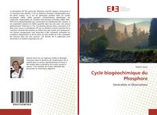 Borítókép a  Cycle biogéochimique du Phosphore - hoz