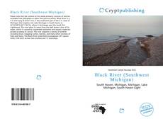 Bookcover of Black River (Southwest Michigan)