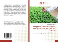 Borítókép a  Analyse multifonctionnelle de l’agriculture urbaine au Tchad - hoz
