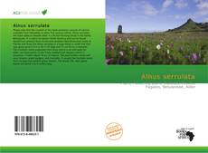 Borítókép a  Alnus serrulata - hoz