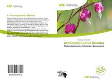 Bookcover of Archontophoenix Maxima