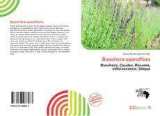 Portada del libro de Boechera sparsiflora