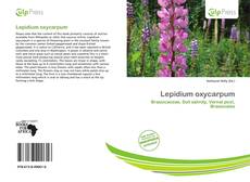 Buchcover von Lepidium oxycarpum