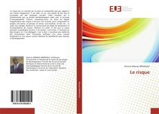 Bookcover of Le risque