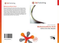 Bookcover of Methanesulfonic Acid
