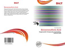 Buchcover von Benzenesulfonic Acid