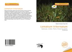 Bookcover of Lomatium triternatum