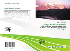 Portada del libro de Diego Ramírez Islands