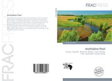 Anchialine Pool kitap kapağı