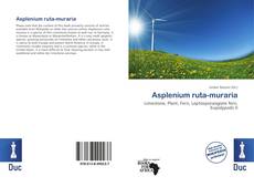 Buchcover von Asplenium ruta-muraria