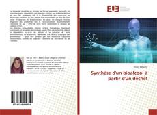 Synthèse d'un bioalcool à partir d'un déchet的封面
