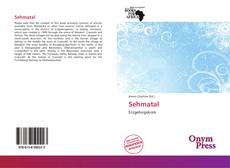 Bookcover of Sehmatal