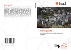 Bookcover of Beringstedt