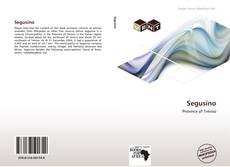 Buchcover von Segusino