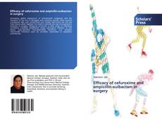 Buchcover von Efficacy of cefuroxime and ampicillin-sulbactam in surgery