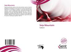 Capa do livro de Seip Mountain 