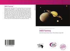 Bookcover of 3403 Tammy