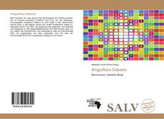 Capa do livro de Anguillara Sabazia 