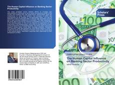 Buchcover von The Human Capital Influence on Banking Sector Productivity