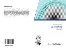 Capa do livro de Seismic Gap 