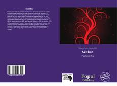 Couverture de Seithur