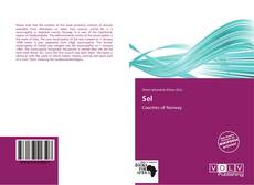 Capa do livro de Sel 