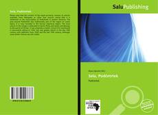 Bookcover of Sela, Podčetrtek