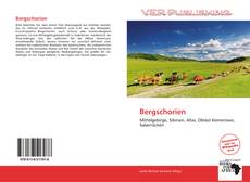 Capa do livro de Bergschorien 