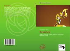 Bookcover of Bergschule