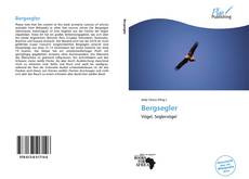 Couverture de Bergsegler