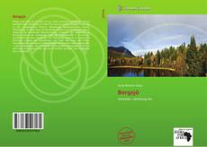 Portada del libro de Bergsjö