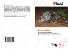 Portada del libro de Bergstachler