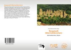 Buchcover von Bergstadt (Wermelskirchen)