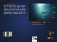 Bookcover of Otothyropsis Marapoama