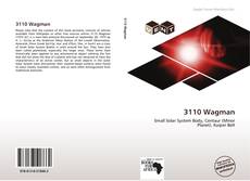 Buchcover von 3110 Wagman