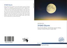 Couverture de 31043 Sturm