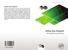 Borítókép a  Sekwa Eye Hospital - hoz