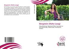 Couverture de Bergstein (Hohe Loog)