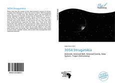 Bookcover of 3054 Strugatskia