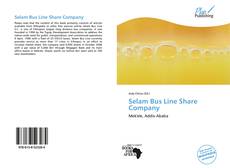 Bookcover of Selam Bus Line Share Company