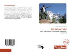 Bookcover of Bergsturz Fidaz