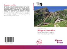 Bookcover of Bergsturz von Elm