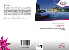 Bookcover of Bergsøya