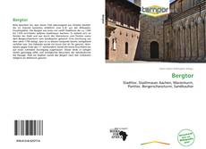 Portada del libro de Bergtor