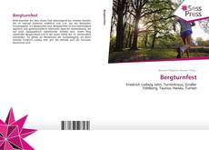 Bookcover of Bergturnfest