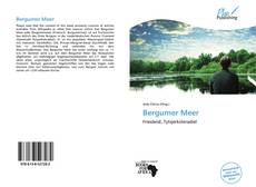 Copertina di Bergumer Meer