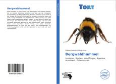 Borítókép a  Bergwaldhummel - hoz